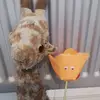 zesty giraffy🦒🦒🦒 - @misslaceyabbott1 - TikTok