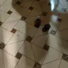 Lacey Abel - @lacey.abel - TikTok
