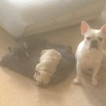 Lacey P Akers - @laceypakers - Instagram