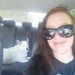 Lacey Allgood Landis - @laceylandis - Instagram