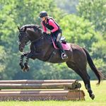 lacey allison - @lmaeventing - Instagram