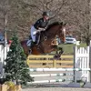 lacey - @laceyallison_eq - TikTok