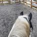 Lacey Anderson - Facebook