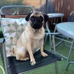 Lacey Armstrong - Facebook