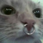 lacey-piper arnold - @laceepriv - Instagram