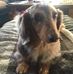 Lacey Ashcraft - Facebook