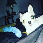 Sean and Lacey Avery - @kingsmnd - Instagram