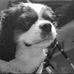 Lacey Baird - Facebook