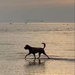 Lacey Baumer - Facebook