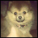Lacey ♥ - @lacey_bear_ - Instagram