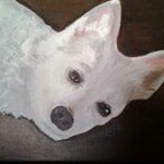 Lacey Bear - @laceybear16 - Instagram
