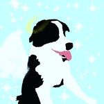 Lacey Bear - @lacey_the_little_pup - Instagram