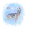 lacey bear - @lacey._.bear - TikTok