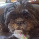 Lacey - @lacey_bear - Instagram