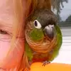 Lacey Bird - @laceybird2 - TikTok