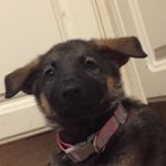 Lacey Blanton - @lacey_girly.girl - Instagram
