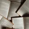 Lacey’s_bookreviews - @laceys_bookreview - TikTok