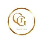 Lacey Boswell - @gracefulgains_financialcoach - Instagram