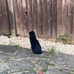 Lacey Bowman - Facebook