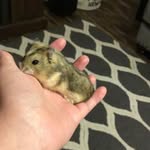 Lacey Boyce - @daisy1_duke2_gunther3 - Instagram
