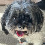 Lacey Boyer - @lipsprite - Instagram