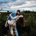 Lacey Boyer - Facebook