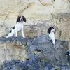 laceybrennan - @laceylola8 - TikTok