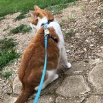 @laceybuddy2020 - Instagram