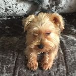 Lacey Burchett - @_laceyburchett - Instagram