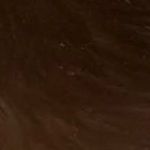 Lacey Carson - @laceycarson9931 - Instagram