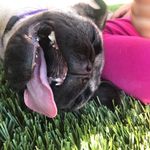 Lacey Carson - @busy.crazy.mama.7 - Instagram