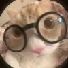 Lacey.Castillo - @laceycastillokbzsbqp - TikTok