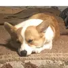 Lacy Crabtree - @lacy.crabtree - TikTok