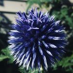 Lacey Cram - @lcram_photography_ - Instagram