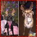 Lacey Cramer - Facebook