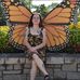 Lacey Curtis - Facebook
