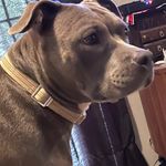 Lacey dickerson - @laceydickerson8 - Instagram