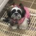 Lacey Dillard - Facebook
