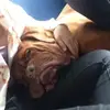 Laceylol🤗 - @laceymariedobson - TikTok