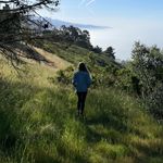 laceydodd - @laceydodd - Instagram