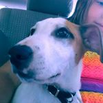 lacey - @laceydodson8 - Instagram