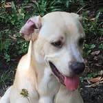 Lacey Dotson - @lacey_101_ - Instagram