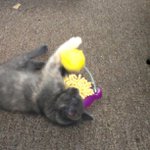 Lacey Downs - @targeta1radio - Instagram