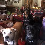 Draper, Lacey, Ginger In Az - @draperlaceygingerin - Instagram