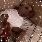 Lacey Dronet - Facebook