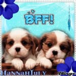 @caoimhe_lacey_eden_bffs - Instagram