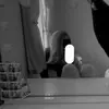 lacey.fairbrass - @lacey.fairbrass - TikTok