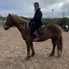 Lacey field - @lacey.field - TikTok