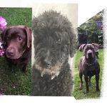Milo+lacey+floyd - @milo_lacey_floyd - Instagram