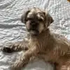 Lacey Fraser - @lacey.fraser8 - TikTok